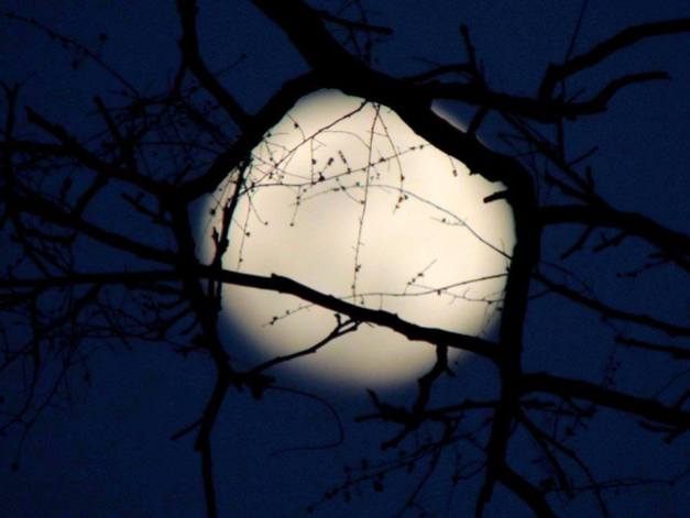 Moon by Manoel Freitas
